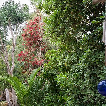 Homey Suite In Zichron Yaakov Zikhron Ya'akov Ngoại thất bức ảnh