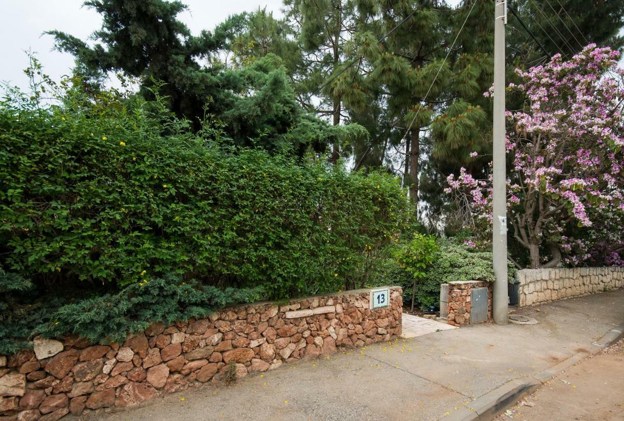 Homey Suite In Zichron Yaakov Zikhron Ya'akov Ngoại thất bức ảnh